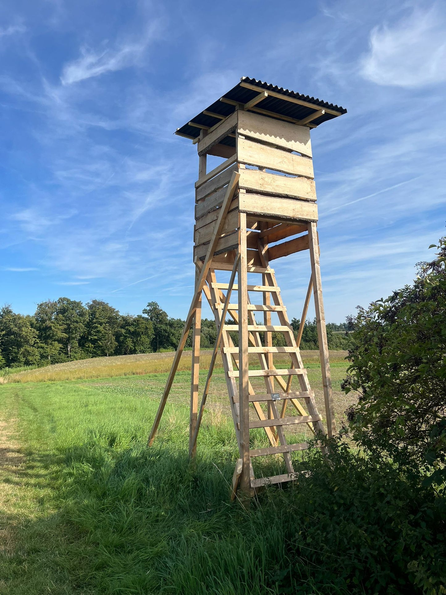 Kanzel "Unteneinstieg"