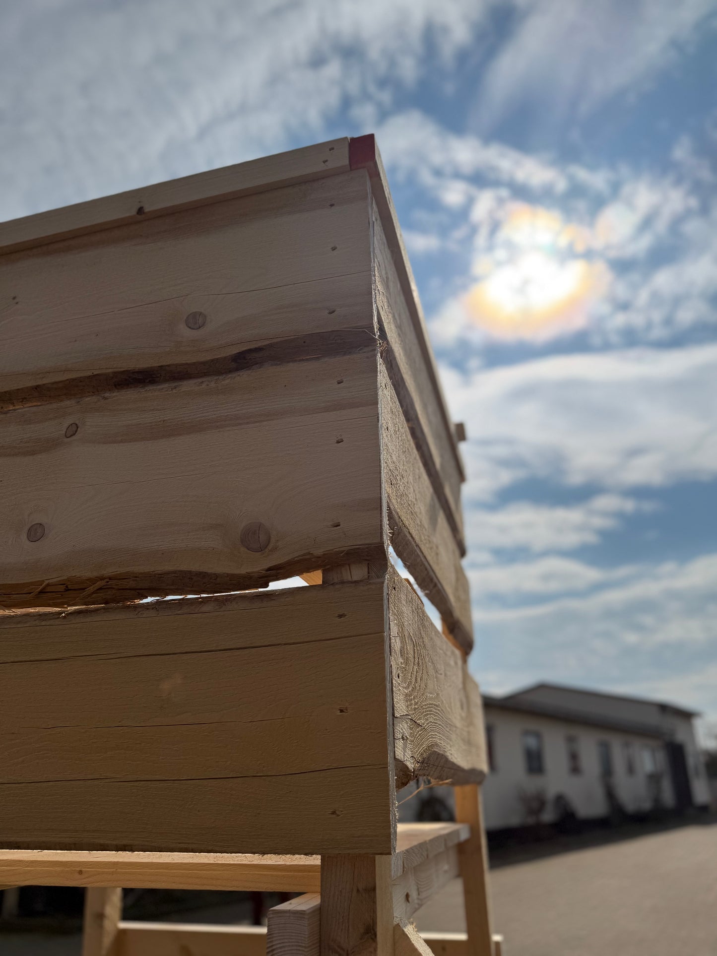 DJ-Bock "Standard + Verkleidung"